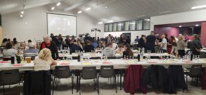 Animation karaoké dans une grande salle pour une association – AMI