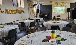 Salle de réception décorée pour un anniversaire avant l’événement – AMI